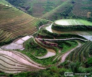 пазл Пейзаж в сельских районах Китая